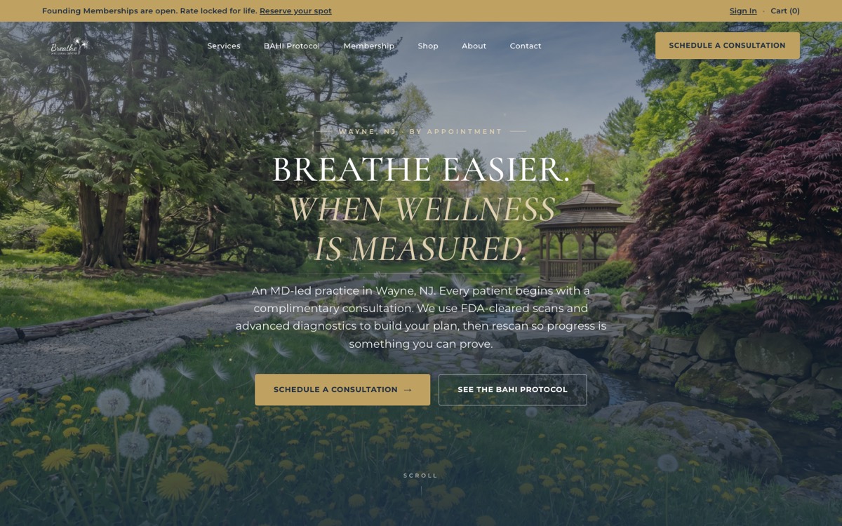 Breathe Wellness, site design