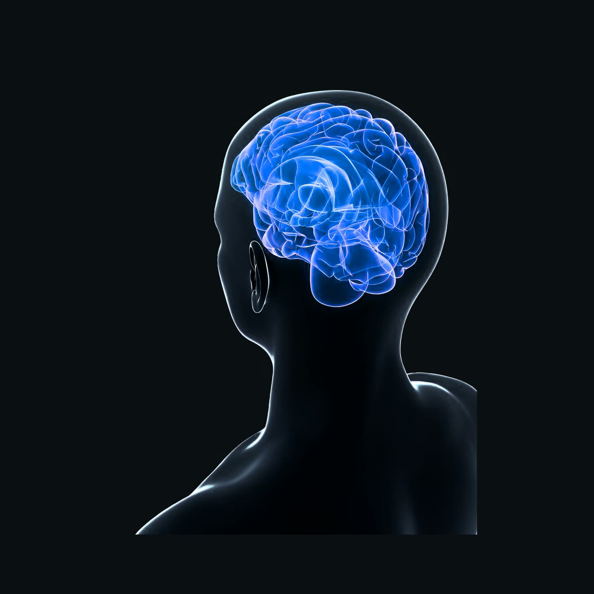 Medical translucent anatomy header
